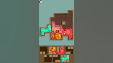 Funny Puzzle Cats 48 - Gameplay Walkthrough (iOS & Android) #shorts