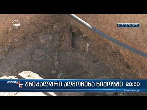 სოფელ ნიქოზში შუა ბრინჯაოს ხანის დიდგვაროვნის სამარხი იპოვეს