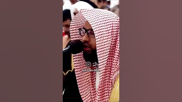 بداية سورة السجدة SURAH AS-SAJDA #عبدالولي_الاركاني #abdulwali_alarkani