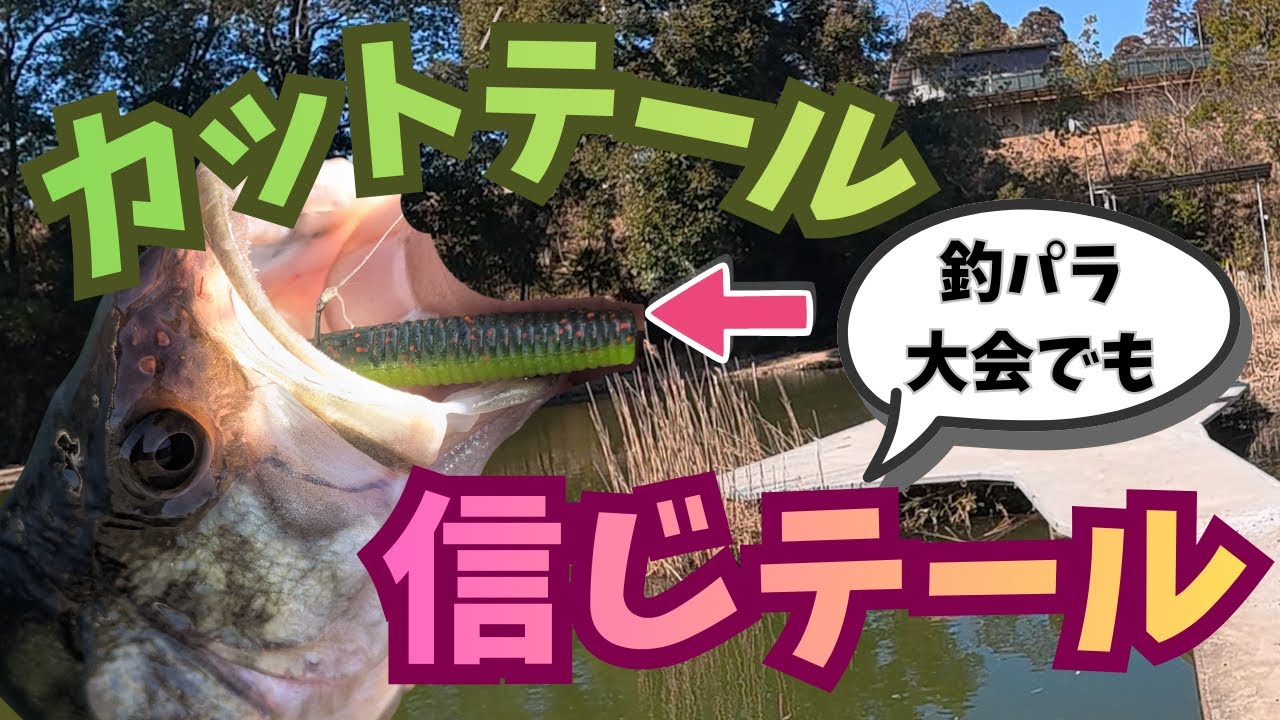 【第2回大会情報あり】釣パラダイスバス釣り大会へ！やっぱりカットテールは正義だった。
