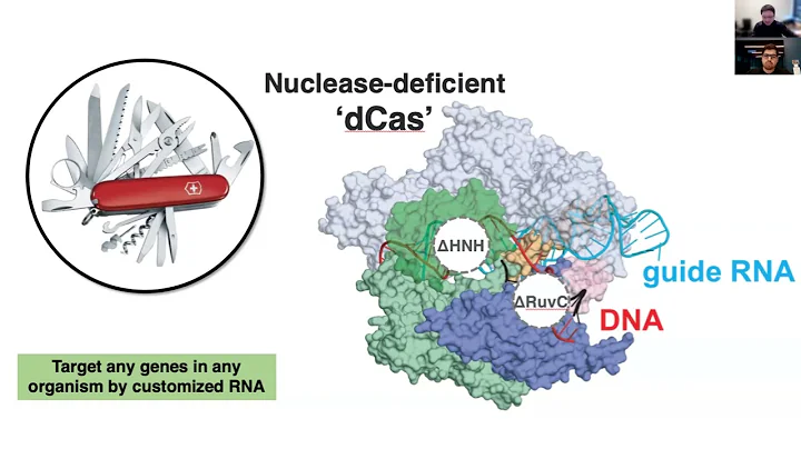 High-throughput neuroscience research and 22q11 Deletion Syndrome by a Novel CRISPR Toolbox Seminar