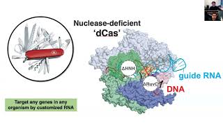 High-throughput neuroscience research and 22q11 Deletion Syndrome by a Novel CRISPR Toolbox Seminar