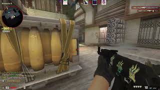 Ace on the last round of the match | CSGO