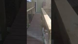 4289 57 Ave N Saint Petersburg Florida.