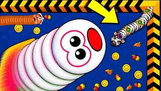 2026 WORMS Zone.io Multiplayer online offline game | Zibra Snake and Tiger 🐯 Snake skin Game  screenshot 5