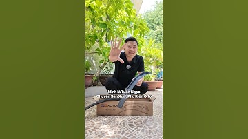 Cửa Sau VF7 Bị Bung Phần Nhựa Đen Đang Là Vấn Đề Của Rất Nhiều Người, Đây Là Cách Xử Lý | B-Factory