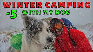 SUB ZERO WINTER CAMPING with a DOG  Solo Mountain Wild Camp in a Snowstorm Lake District UK