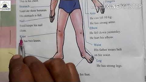 Guj Med Std 4 Sub English, Unit 1 Get up and Dance, Activity 4