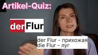 : Artikel-Quiz:  