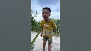 Lùn Làm Việc Tốt | Tippi Vips #tippitv #tippivips