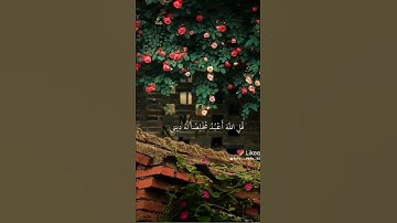 قل إني اخاف أن عصيت ربي عذاب يوم عظيم #حالات واتس اب قرآن كريم#@
