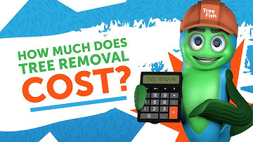 How Much Does Tree Removal Cost?