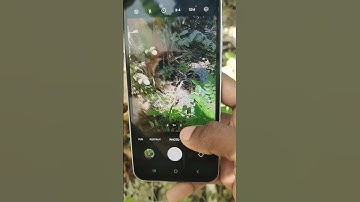 Samsung A15 Wide angle camera mode on in Samsung Galaxy A15 Smartphone #5minutestech