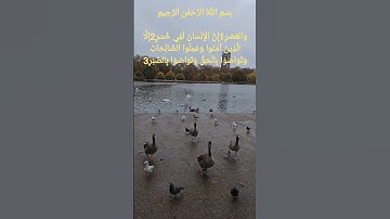 سورة العصر بصوت الشيخ سعد الغامدي