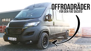 🚐 Neue Räder und Drehkonsole für den Fiat Ducato Campervan! Delta 4x4 Klassik B regelt 💪🏼