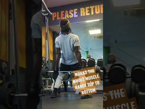 Workout your whole back muscle group #backattack #barbell #shorts #posture