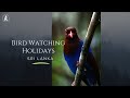 Sri Lanka, The Unparalleled Bird Watching Holiday Destination