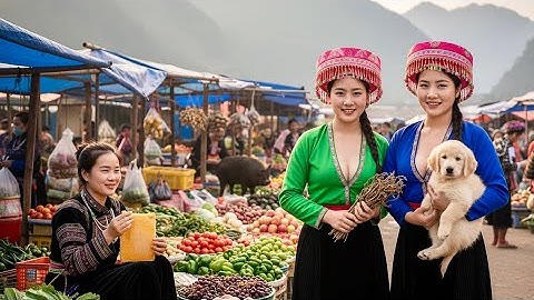 Chợ Phiên San Thàng Lai Châu: Hội Tụ Gái Xinh Và Những Loại Dược Liệu Quý Bậc Nhất Vùng Cao!