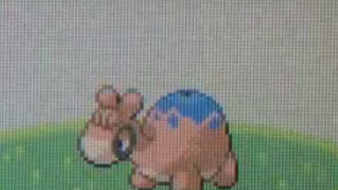 Live Shiny Numel after 9,204 RE