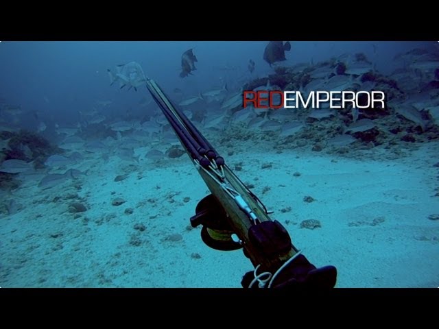Spearfishing – Red Emperor