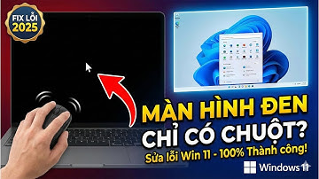 Sửa Lỗi Win 11 Bị Đen Màn Hình 💻⚠️ & Chỉ Hiện Con Trỏ Chuột 🖱️ (Thành Công 100% ✔️)