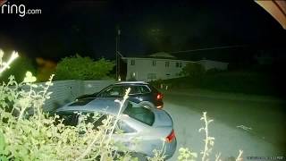 Cougar Spotted on Camera Roaming Washington State Neighborhood Neighbors On Edge After Multiple Cougar Sightings