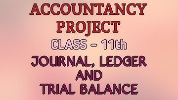Accountancy Project | Class-11 | Journal, Ledger and Trial Balance