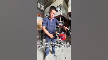 Máy cắt tỉa cành, tỉa hàng rào lưỡi đôi chạy động cơ xăng hai thì 52cc