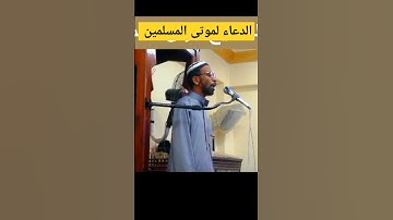 القارئ عاصم سليم يدعوا لجميع أموات اللهم تقبل واستجب 🤲🤲🤲