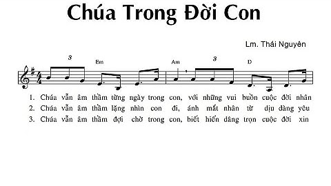 Chúa Trong Đời Con || Lm. Thái Nguyên