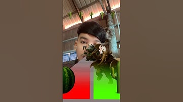 Filter Challenge #tutorial  #gif  #ytshorts #filterchallenge #impossible