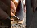 ASMR Shoe Last Leather Crafting Skill #asmr #skills #shoemaking #craftsmanship #leathercarving