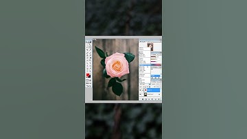 Photoshop tutorial | How to change colour of white rose | Photoshop editing video |Tutorial videos