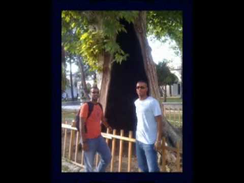 نايف القاضي 2