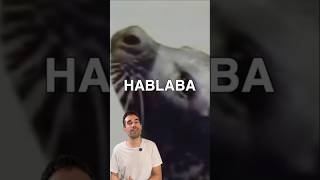 Foca que HABLA Inglés con Acento de Maine