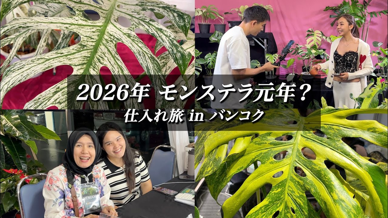 【正月SP 第1弾】アマゾンへ行こ〜 in バンコク編｜仕入れ旅Vlog【EP