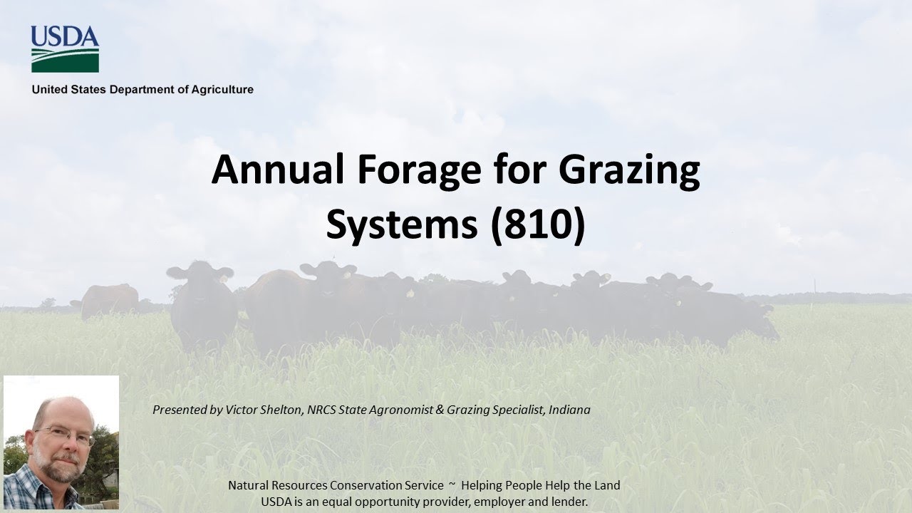 Indiana NRCS Interim CPS 810 Annual Forages For Grazing Systems YouTube Indiana NRCS Interim CPS 810 Annual Forages For Grazing Systems YouTube