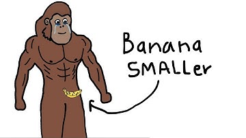 Does Overtraining Make Banana Smaller? Explained By Ape