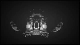 Outlast Morphogenic Engine