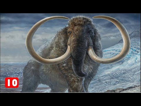 Βίντεο: Τι είναι τα εξαφανισμένα είδη;