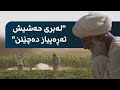 تاڵیبان چاندنی مادەی هۆشبەری لە ئەفغانستان قەدەخە کردووە و بەشێک لە جووتیاران نۆک و تەڕەپیاز دەچێنن 