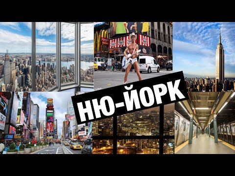 Video: New Yorkun Vəhşi Həyatı, Sandy Qasırğasında Ev Heyvanları Da əziyyət çəkdi