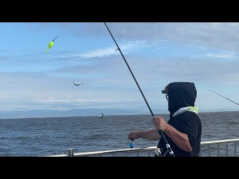 今日は兵庫で釣り〜！