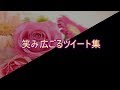 【おもしろ文章】笑み広ごるツイート集【傑作選】