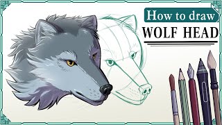 How to draw WOLF HEADS - Step by Step Art Tutorial