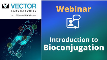 Webinar: An Introduction to Bioconjugation