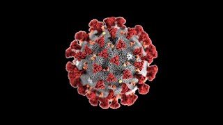 A look at Covid Tracking Project, one of the most trusted sources on the spread of COVID-19