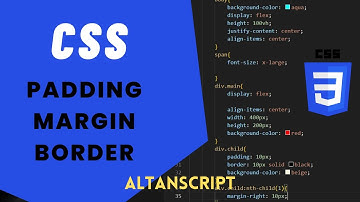 CSS  Margin & Padding & Border Detaylı Anlatım | Css