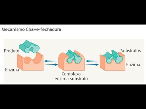 Vídeo: Por que é chamado de autocatalítico?