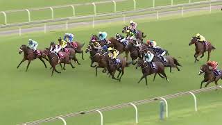 Vidéo de la course PMU PRIX WSB RACING AT IT'S BEST